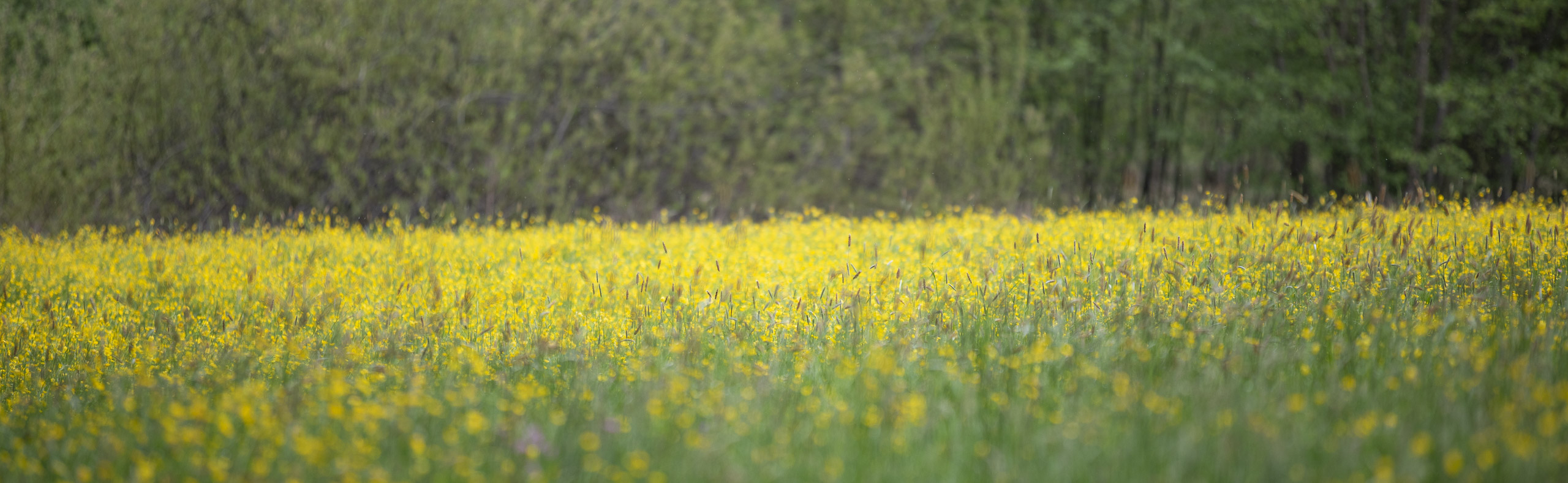 20250503140012 RD4 2556